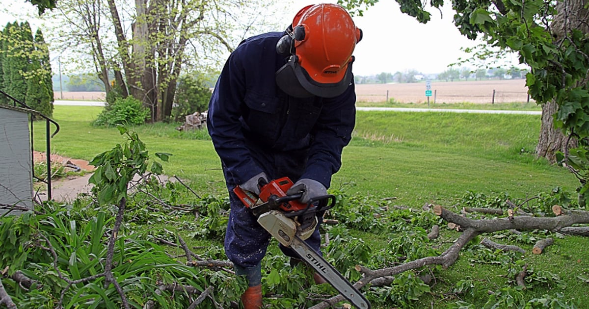 How to cut down on chainsaw injuries