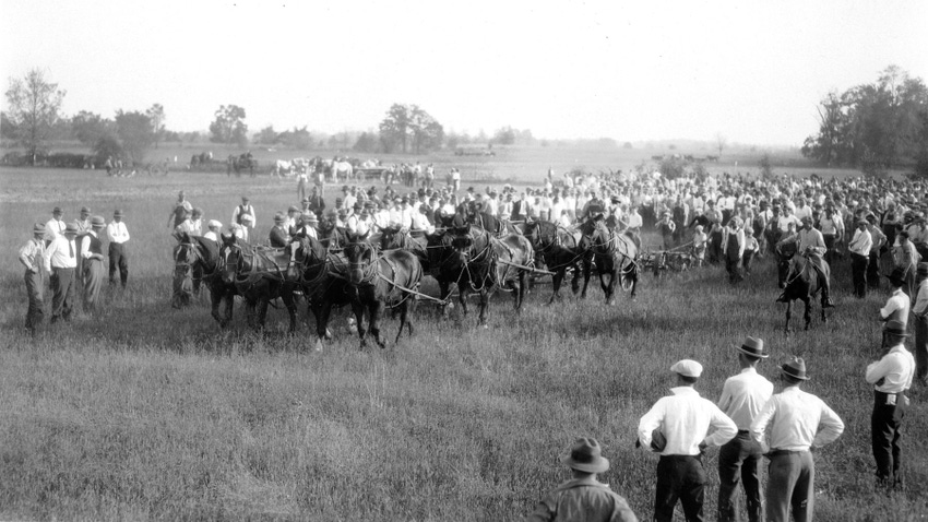 black-and-white photo of horses working field during Extension-led demonstration in early 20th century