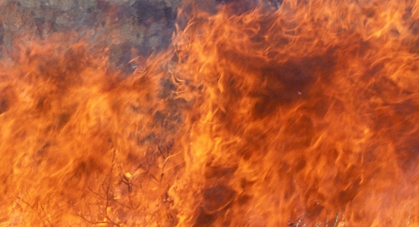 Prescribed fire Prescribed fire