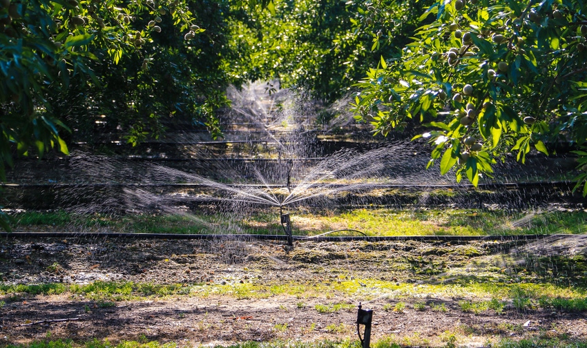 Sprinklers run in an orchard