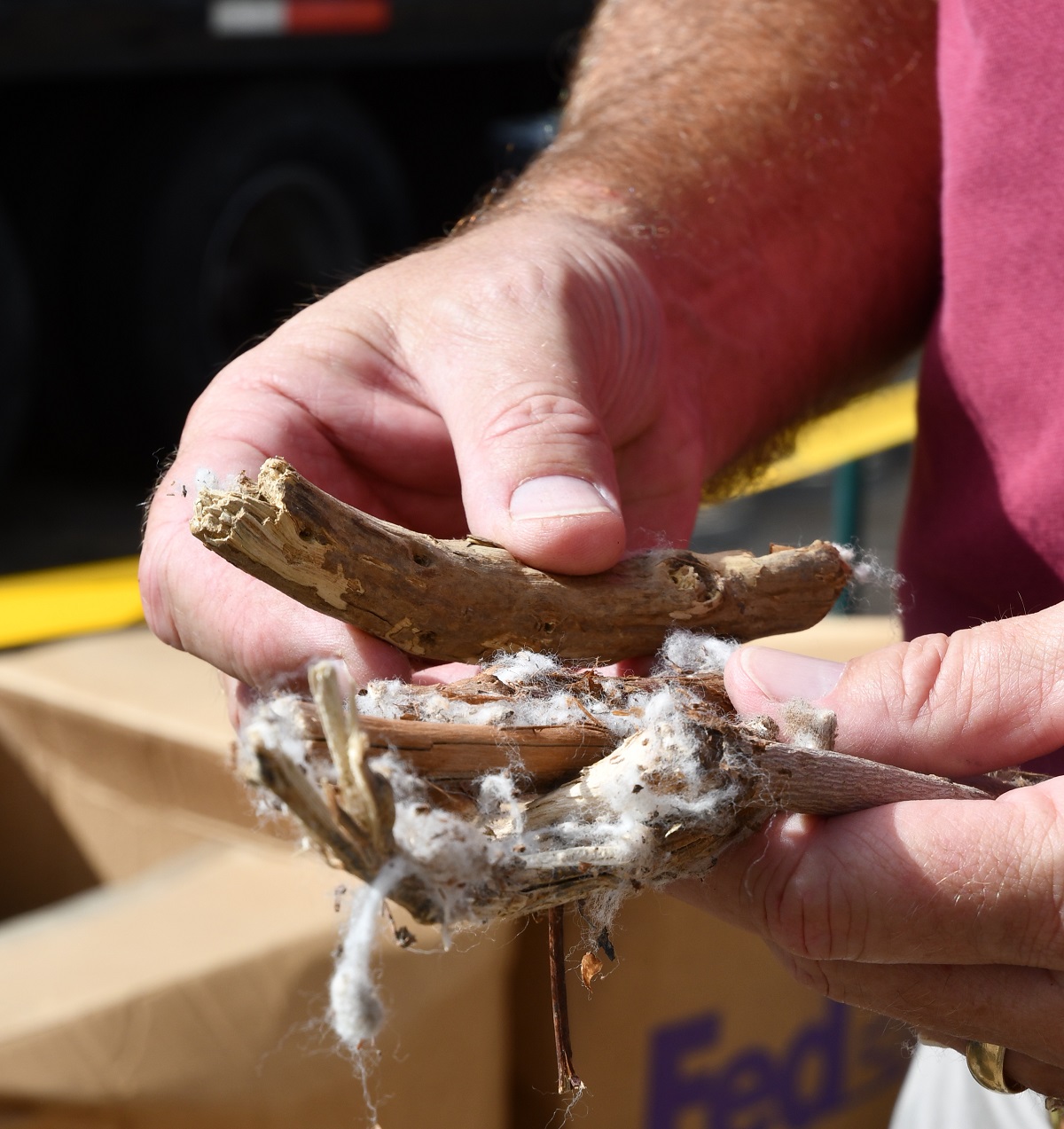 Cotton gin trash offers potentail as fuel for electicity production.