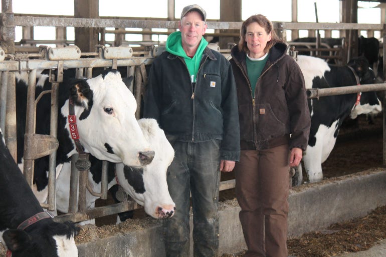 Sheryl and Glenn Taylor shown standing beside cows in barn