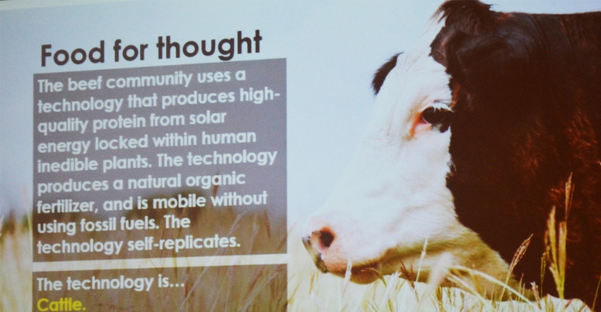 slide from a presentation given by Dr. Sara Place at the Kansas Livestock Association with beef cow on it