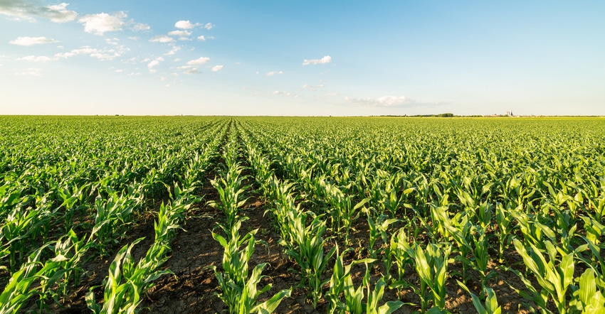 GettyImages-Corn-604027116_1540x800.jpg GettyImages-Corn-604027116_1540x800.jpg
