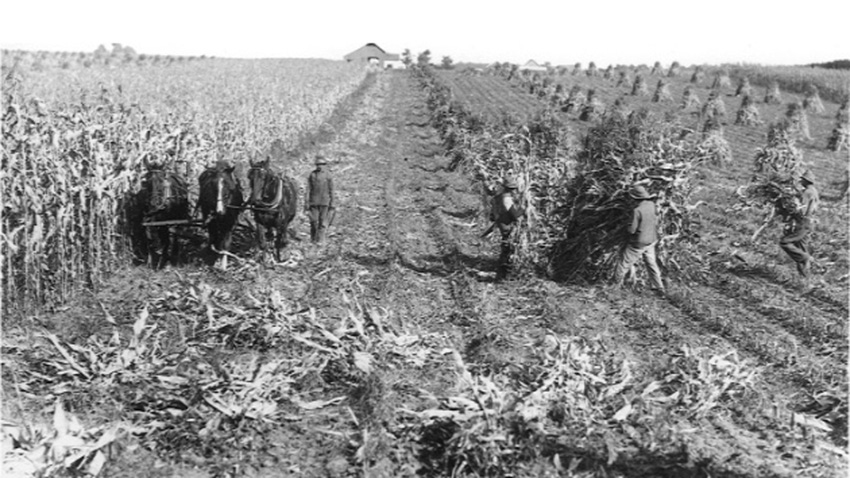 black-and-white photo of farmers and horses in field
