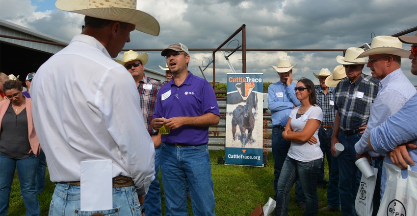 Attendees at a Kansas Livestock Association field day gather around to hear from Brandon Depenbusch, CattleTrace board chairm Attendees at a Kansas Livestock Association field day gather around to hear from Brandon Depenbusch, CattleTrace board chairm