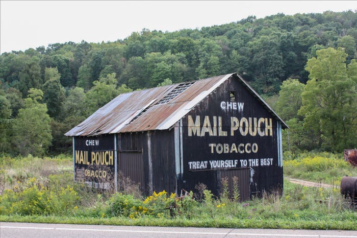 Mail Pouch Tobacco advertising on the side of a deteriorating barn