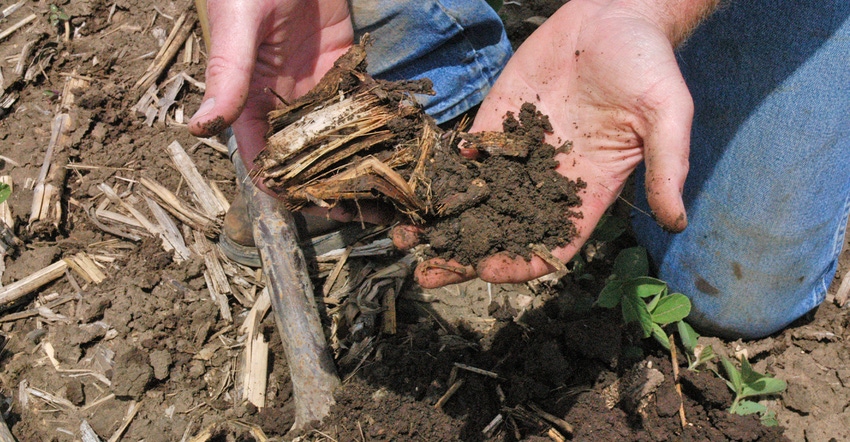 hands inspecting soil 