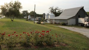 Elizabeth Hodges family’s farm in southeast Nebraska