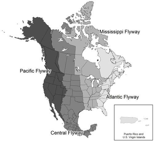 A map of North America depicting flyway paths