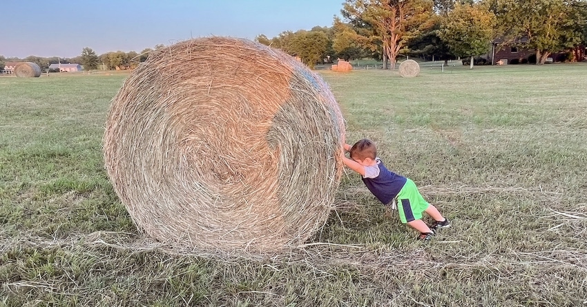 Lee Hay Bale.jpg Lee Hay Bale.jpg
