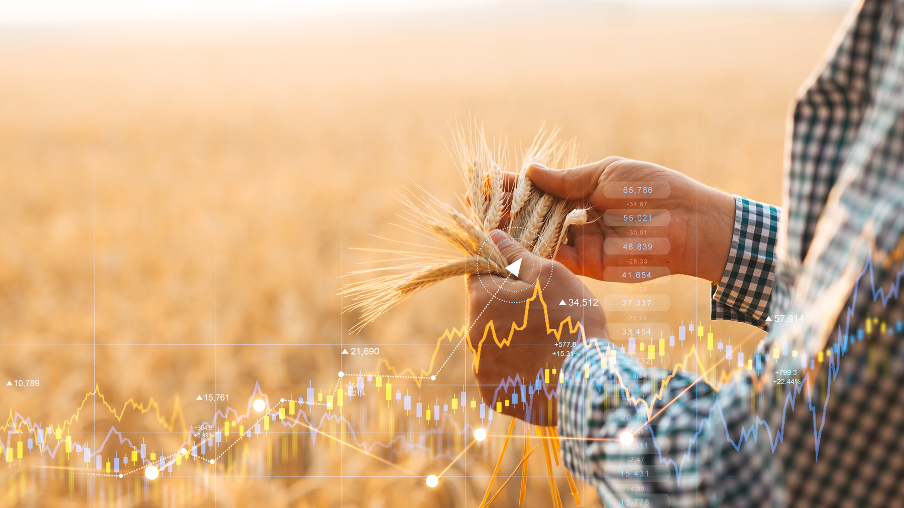 LATEST LIVESTOCK DAIRY PRICES visual data 3