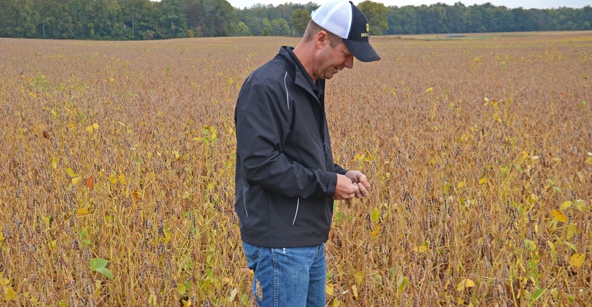 Steve Gauck scouts mature soybean field