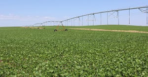 irrigation equipment in soybean field