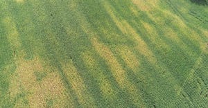 aerial view of different color streaks in cornfield