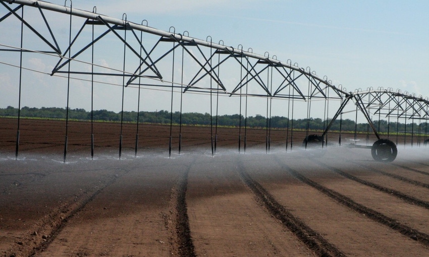spinach-irrigation-LR-1024x615.jpg spinach-irrigation-LR-1024x615.jpg