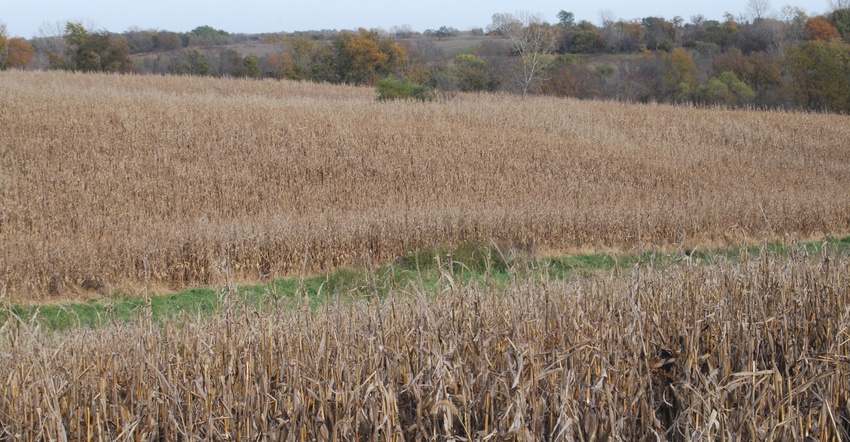 Farmland in Iowa