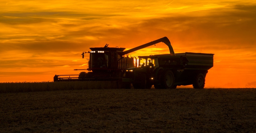 Silhouette of combine harvesting