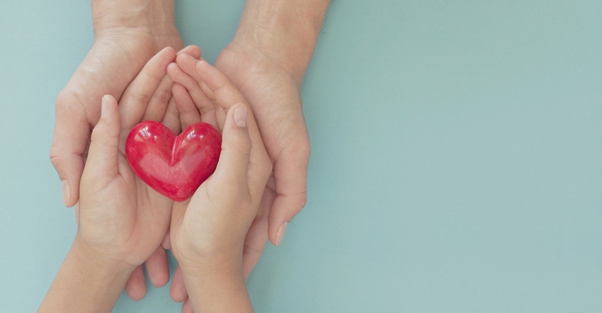 hands holding a heart