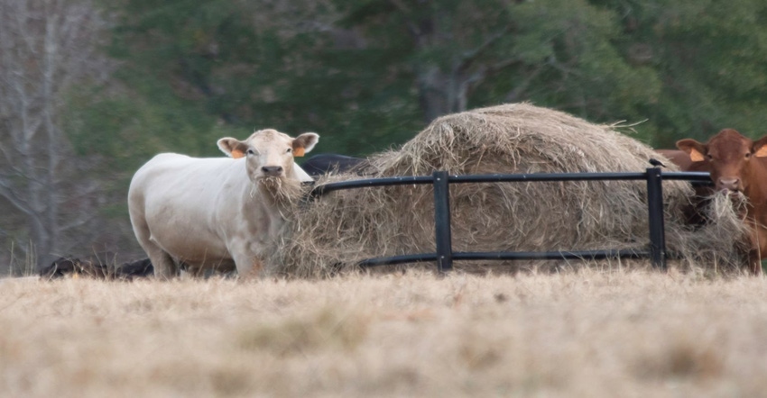 8-15-22 Tight hay supplies GettyImages-1190100717.jpg