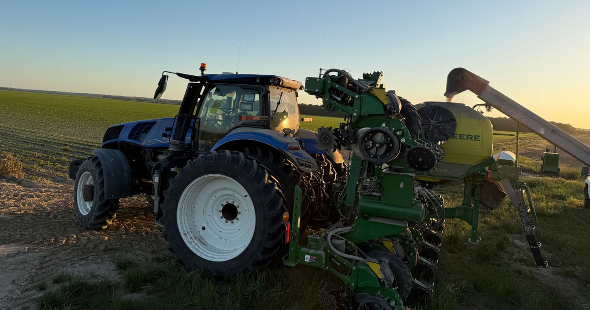 Crops make steady progress across the South