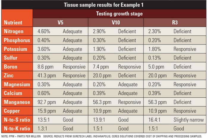 Table of tissue sample results for cornfield