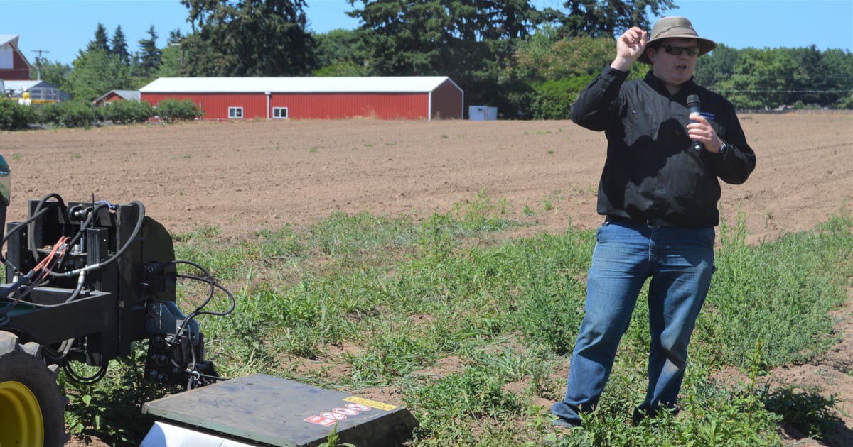Electric weed control being examined in hazelnuts