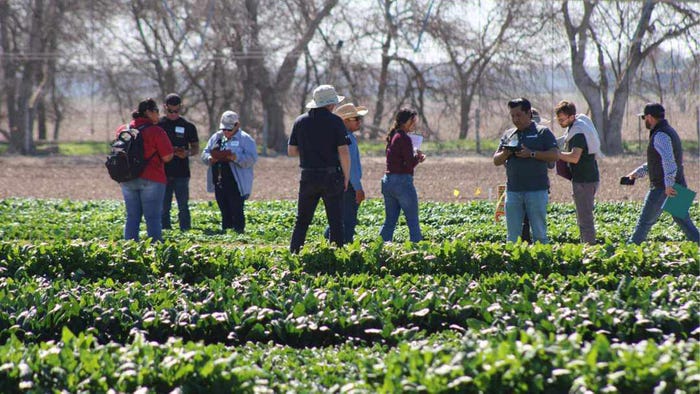 agrilife-leslie-dominguez-spinach-field-day.jpg