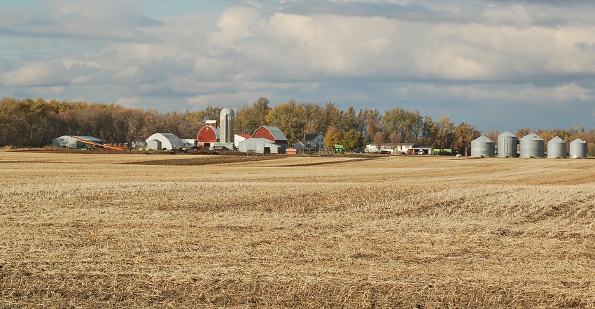 scenic farmstead buildings and bins on horizon in autumn