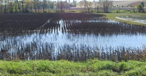 flooded field in Iowa