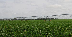 Center-pivot irrigation equipment in a cornfield