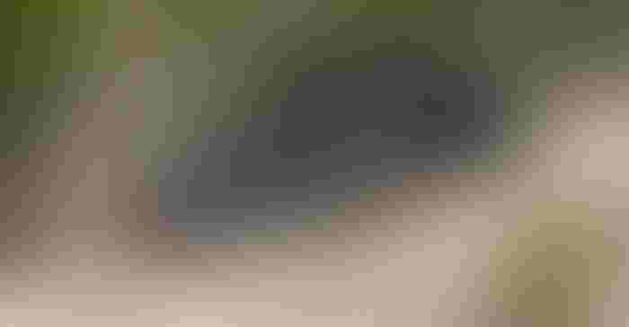 1014F2-2233C-1540x800.jpg 1014F2-2233C-1540x800.jpg