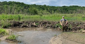 Everett Johnson, an ISU senior studying animal ecology, stands on the downstream side of an active beaver dam