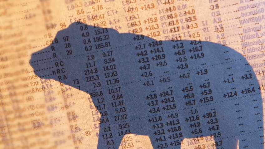 Bear shadow on spreadsheet of numbers