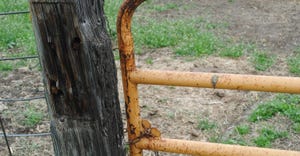 Closeup of fence