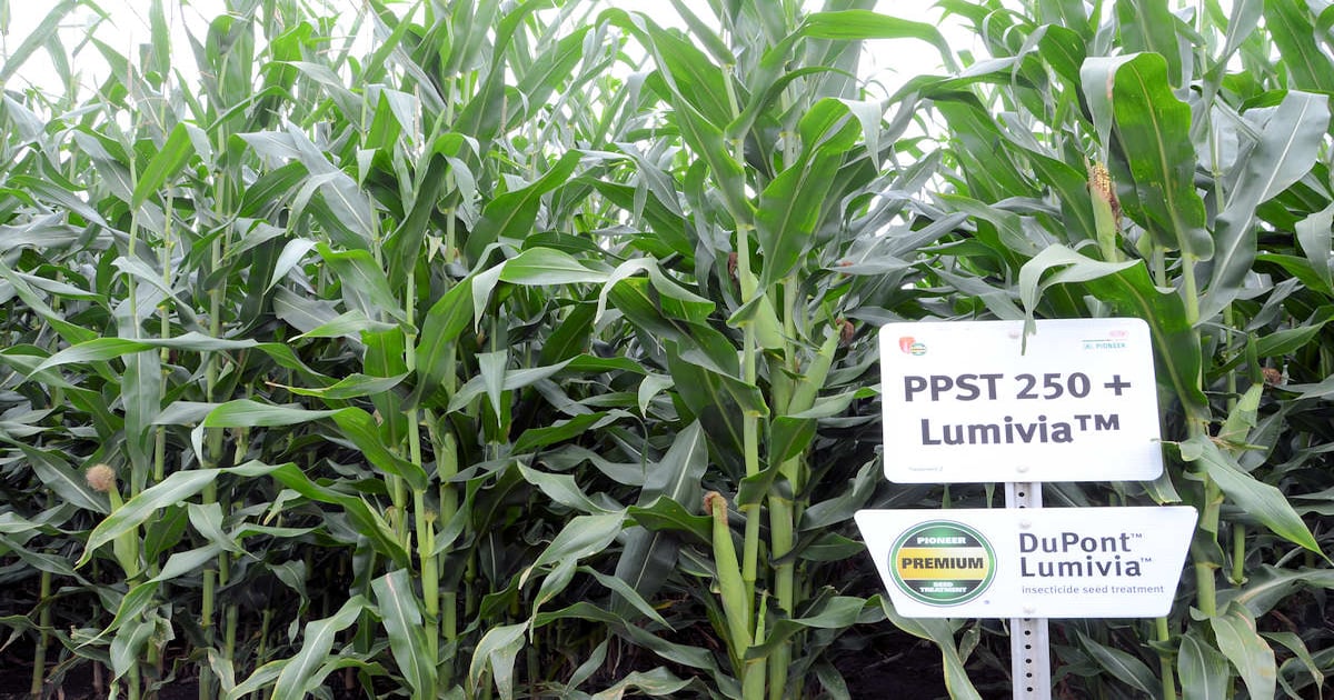 Hybrid tech, seed treatments, new forage products rolling out | Farm ...