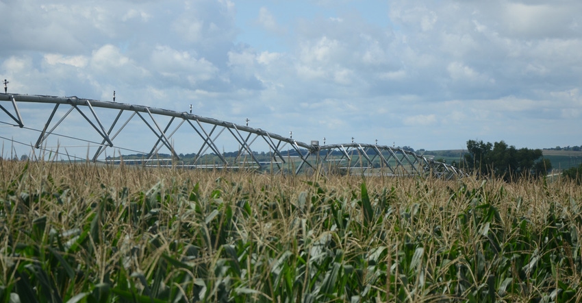irrigation equipment in cornfield