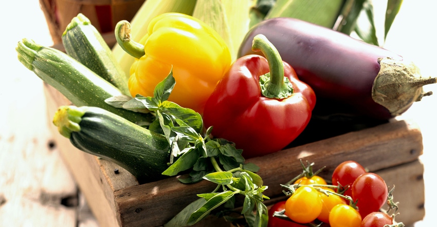 Basket of home grown vegtables