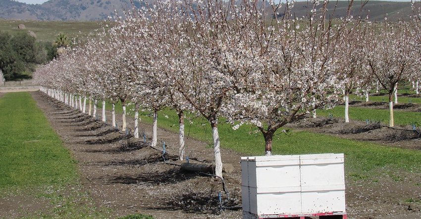 TNFP0204-hearden-pollination-partners.JPG TNFP0204-hearden-pollination-partners.JPG