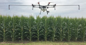 drone flying in front of cornfield