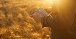 Hands of a farmer holding a tablet in wheat field