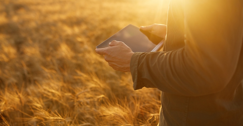 Hands of a farmer holding a tablet in wheat field