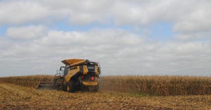 Combine in corn field