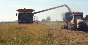 DFP-RonSmith-harvesting-rice.jpg