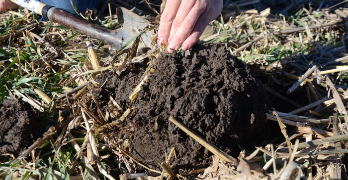 hand with shovel digging in soil