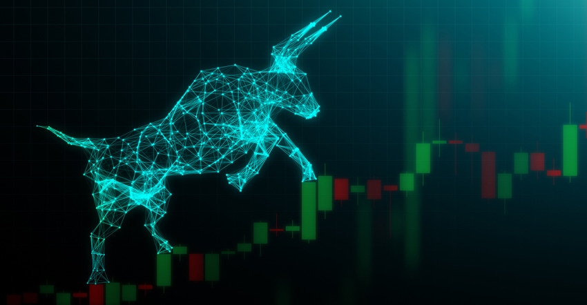 Bull market led screen