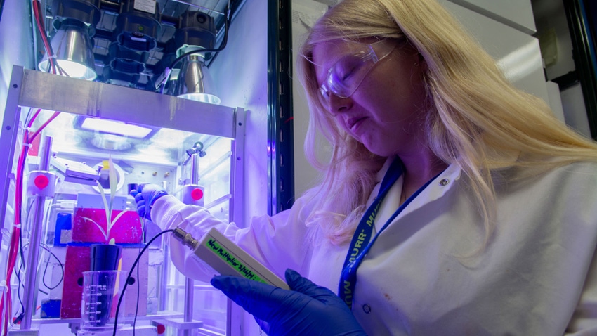 student checking on a plant in the lab