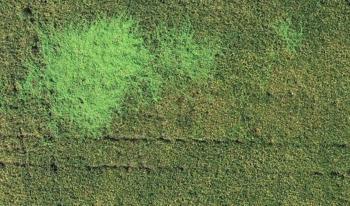 aerial photo of weed patch in soybean field