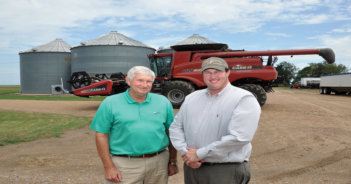 Rice | How farm keeps it in rotation