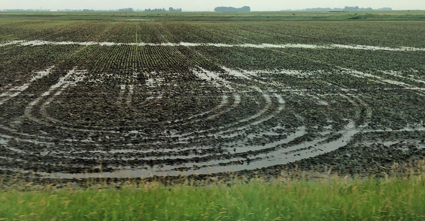 tire tracks in a muddy field